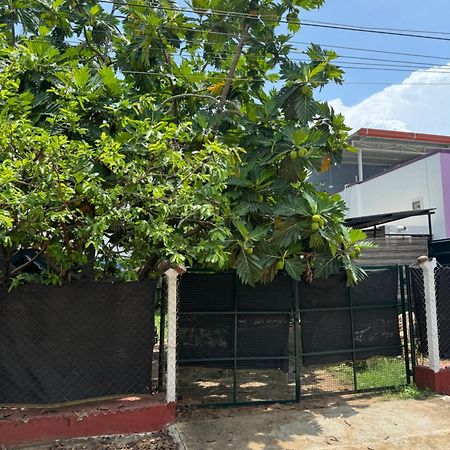 The Lazy Palm Shack Hotel Coimbatore Bagian luar foto